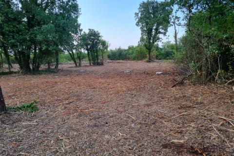 Istra, Šišan poljoprivredno zemljište 648 m2