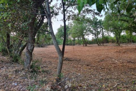 Istra, Šišan poljoprivredno zemljište 648 m2