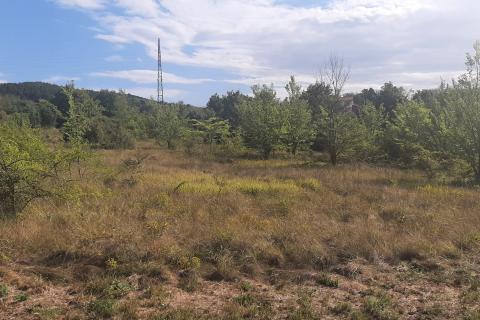 Istra, Karojba okolica - lijepa ravna građevinska parcela