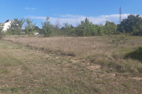 Istra, Karojba okolica - lijepa ravna građevinska parcela