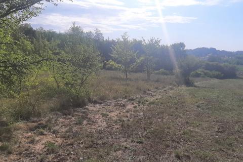 Istra, Karojba okolica - lijepa ravna građevinska parcela