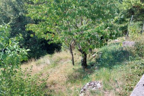 Земельный участок строительного назначения Bregi, Matulji, 665m2