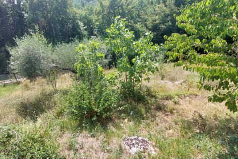 Земельный участок строительного назначения Bregi, Matulji, 665m2