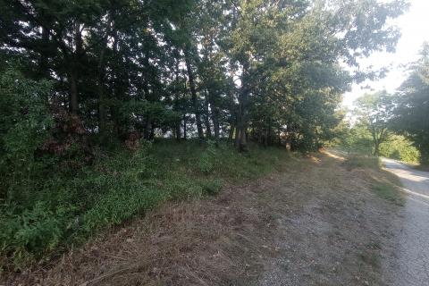 Vrbovsko, Trnova Poljana, poljoprivredno zemljište 5947 m2