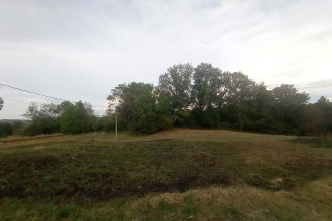 Vrbovsko, Trnova Poljana, poljoprivredno zemljište 5947 m2