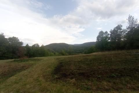 Vrbovsko, Trnova Poljana, poljoprivredno zemljište 5947 m2