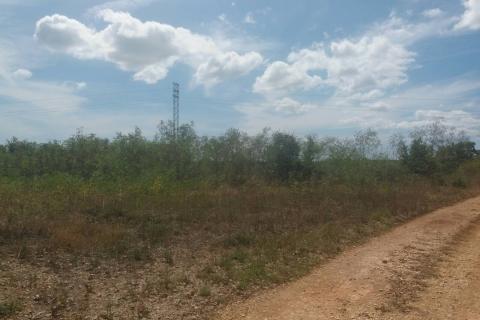 Земельный участок нестроительного назначения Divšići, Marčana, 2.566m2