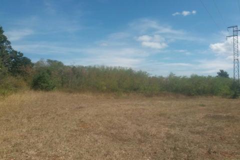 Земельный участок нестроительного назначения Divšići, Marčana, 2.566m2