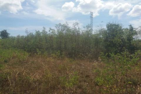 Земельный участок нестроительного назначения Divšići, Marčana, 2.566m2