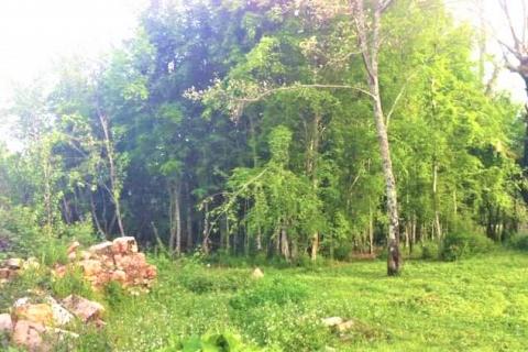 Hiša Tadini, Kaštelir-Labinci, 205m2