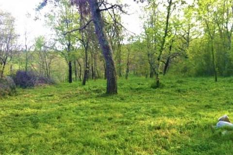 Hiša Tadini, Kaštelir-Labinci, 205m2