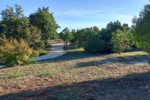 Istra, okolica Svetvinčenta, stambeno-gospodarski projekt