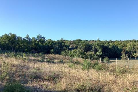 Istra, okolica Svetvinčenta, stambeno-gospodarski projekt