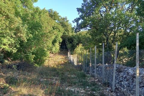 Istra, okolica Svetvinčenta, stambeno-gospodarski projekt