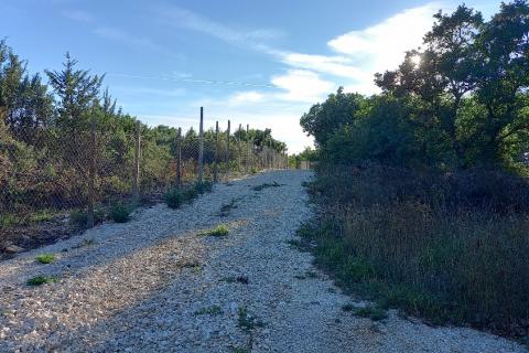 Istra, okolica Svetvinčenta, stambeno-gospodarski projekt