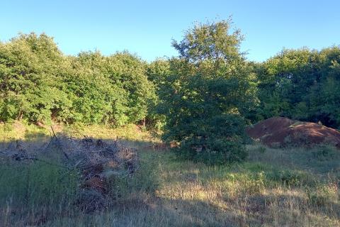 Istra, okolica Svetvinčenta, stambeno-gospodarski projekt