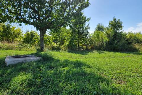 Istra, Nova Vas, poljoprivredno zemljište od 9600 m2