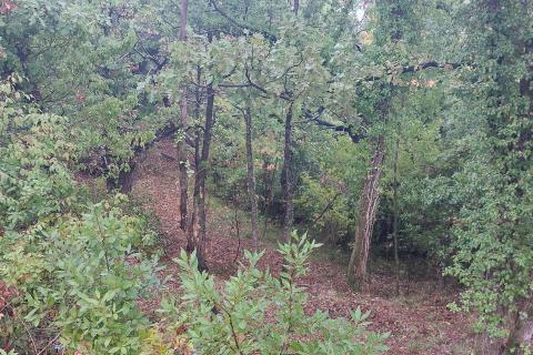 Obrš, Mošćenička Draga, 734m2