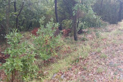 Obrš, Mošćenička Draga, 734m2