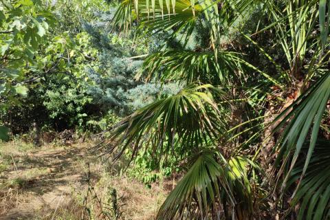 Haus Draga Bašćanska, Baška, 120m2