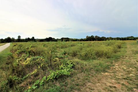 Земельный участок строительного назначения Hrebinec, Brckovljani, 5.883m2