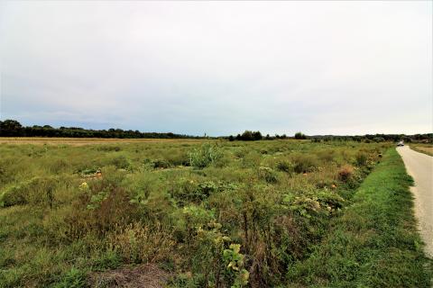 Земельный участок строительного назначения Hrebinec, Brckovljani, 5.883m2