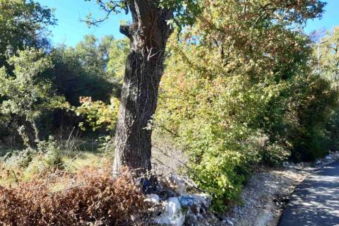 Istra, Rovinjsko selo - građevinska parcela 834m2