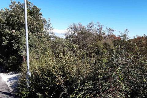 Istra, Rovinjsko selo - građevinska parcela 834m2