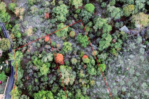 Istra, Rovinjsko selo - građevinska parcela 1015m2