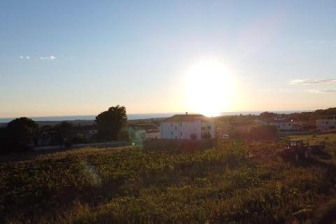 Kaštelir, Kaštelir-Labinci, 1.500m2