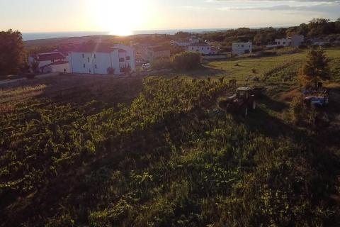 Kaštelir, Kaštelir-Labinci, 1.500m2