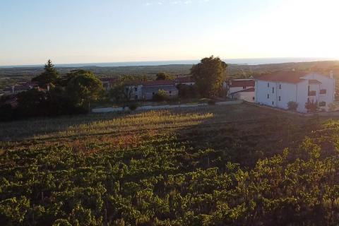 Kaštelir, Kaštelir-Labinci, 1.500m2