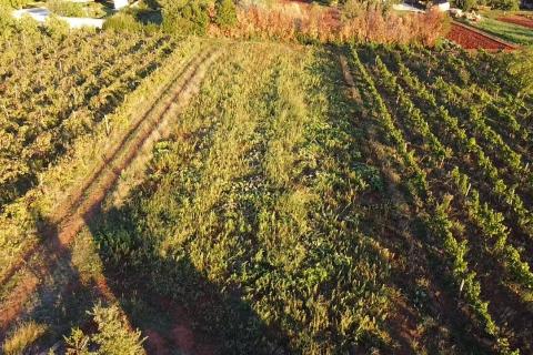 Kaštelir, Kaštelir-Labinci, 1.500m2