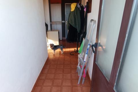 Istra, Rovinj, dva velika stana u centru