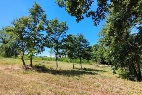 Istra, građevinsko i poljoprivredno zemljište 11142m2