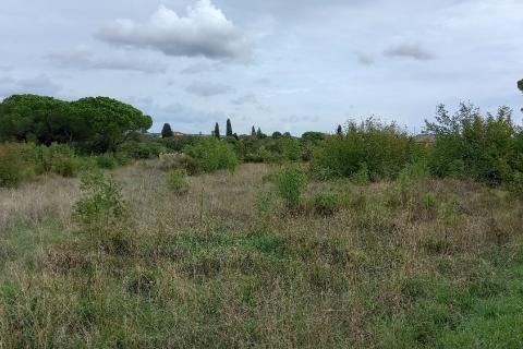 Istra,okolica Fažane,-vikend parcela 600 m od plaže