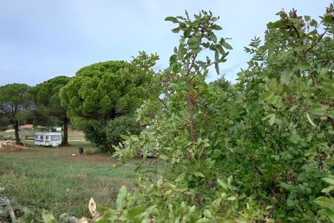 Istra,okolica Fažane,-vikend parcela 600 m od plaže