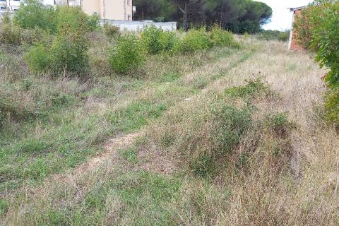 Istra,okolica Fažane,-vikend parcela 600 m od plaže