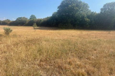 Земельный участок нестроительного назначения Bale, 5.440m2