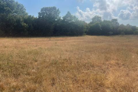 Земельный участок нестроительного назначения Bale, 5.440m2