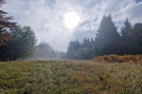 Земельный участок нестроительного назначения Delnice, 5.111m2