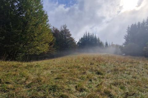 Земельный участок нестроительного назначения Delnice, 5.111m2