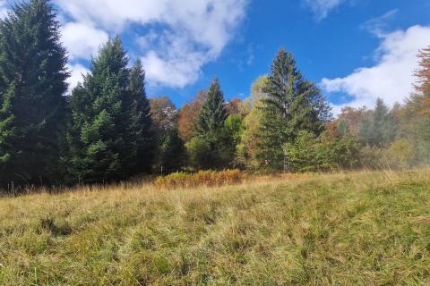 Земельный участок нестроительного назначения Delnice, 5.111m2