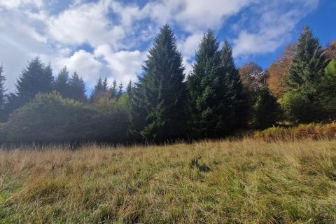 Земельный участок нестроительного назначения Delnice, 5.111m2