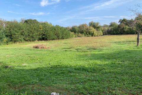 Katoro, Umag, 19.998m2