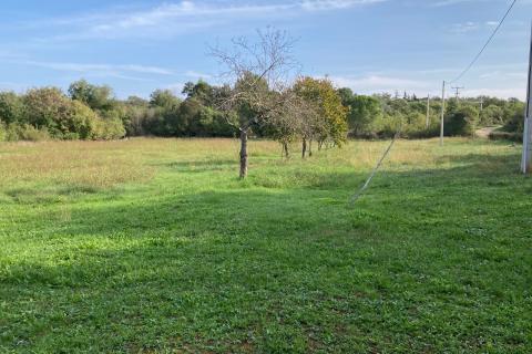 Katoro, Umag, 19.998m2