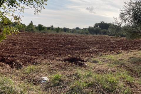 Katoro, Umag, 19.998m2