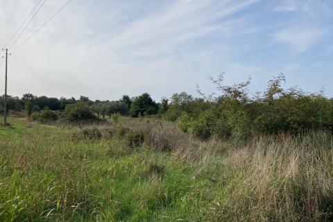 Katoro, Umag, 19.998m2