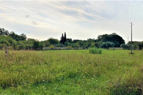 Katoro, Umag, 19.998m2