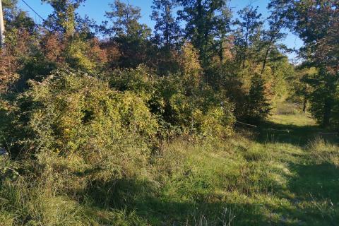 Bauland Mali Brgud, Matulji, 4.276m2